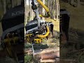#forest #work #recommendations #sharpsteel