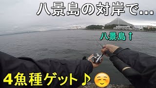 【八景島対岸岸壁】横浜八景島シーパラダイスの対岸にある岸壁でサビキ釣りと泳がせ釣り！【2019.10.22】