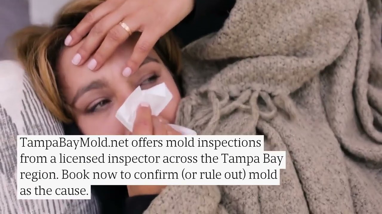 Tampa Bay Mold Removal Company Tests & Inspects Homes To Prevent Damage