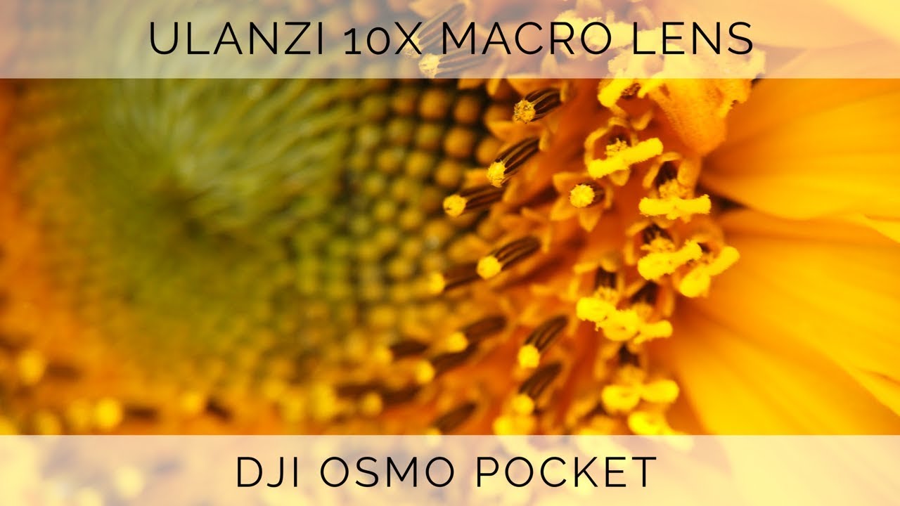 für DJI Osmo Pocket Camera Zubehör 10X Makro Vergrößerung HD Objektiv Magnetisches Design 10X Makro Objektiv Fokussierabstand 10-15mm Professionelle Tragbare Kamera Makro Linse 