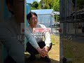 畑を開墾するのにかかる費用 #梅仕事 #農業 #梅屋