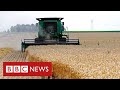 New video by BBC News on YouTube