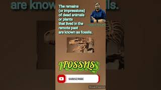 fossils Define Fossils  What Is Fossils Definition Of Fossils smritisingh