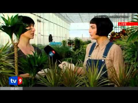 გრატოს სათბურები Part 1- Grato Greenhouse
