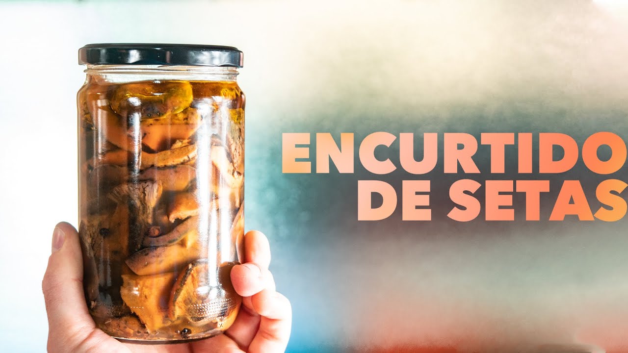 Buscando níscalos y receta Encurtido de Setas | chef Ezequiel Álvarez