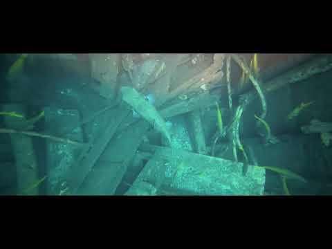 📍Vietnamese Wreck, Redang Malaysia AUG25 