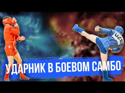 Video: Samboni Dzyudodan Qanday Ajratish Mumkin