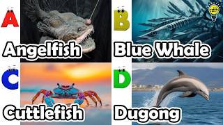 ABC Sea Animals song | Learn Alphabets | English and Animals for Kids | #anglerfish
