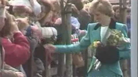 Man Attacks Princess Diana