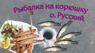 Рыбалка на корюшку о. Русский, Владивосток декабрь 2016 г.