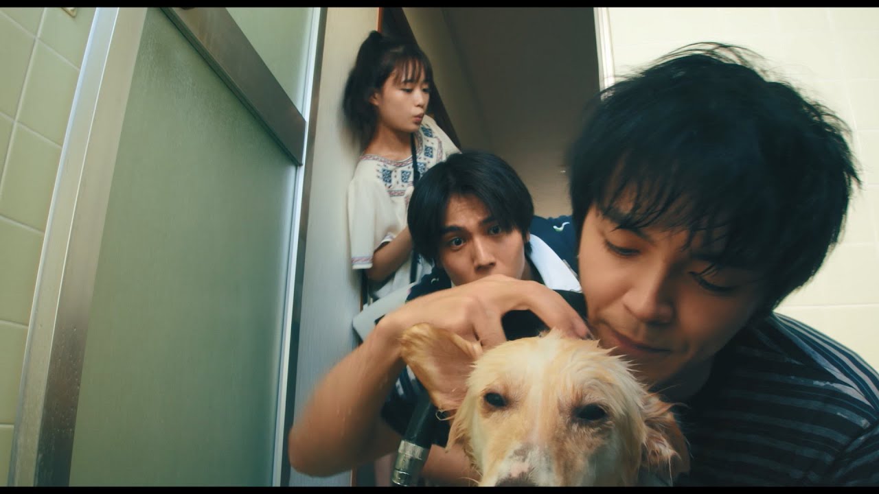 映画「犬部！」冒頭8分本編映像 林遣都、中川大志、大原櫻子が、犬や猫