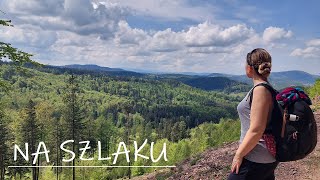 Na górskim szlaku ... (Góry Wałbrzyskie, Dłużyna, Przełęcz Kozia) / Forest and mountain walk