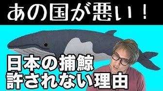 国際捕鯨委員会 Youtube