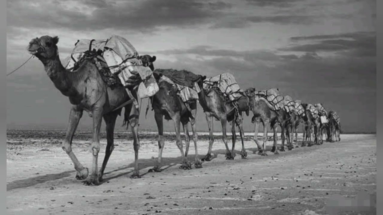 ( ٨ ) قصة التاجر والمرأة الفقيرة