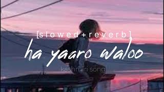 Ha yaaro waloo [slowed+reverb]  song @IshfaqKawa screenshot 3