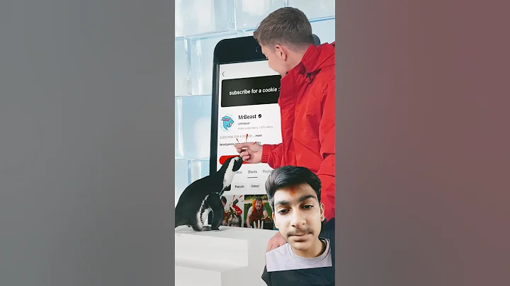 Can I teach penguin to subscribe #mrbeast #shortsfeed #shorts