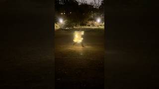 Ceci Était Un Test Du Système Saint Snap™️ 💡🙏