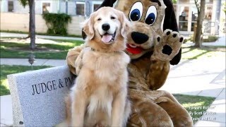 The End of the Line - How San Antonio Texas Became America's Largest No-Kill City