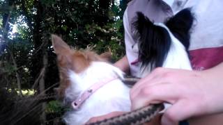 WP 20120902 135847Z