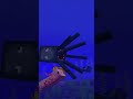 THE NEW MOB VOTE! (Axolotl vs. Bat) #mobvote #minecraftmobs #blockexploration
