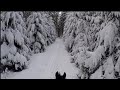 Magical Trail Ride in Snow (Helmet Cam) with Commentary 😂