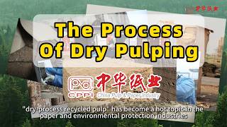 CPP Imagazine visited a dry pulping enterprise to learn about the process of dry pulping