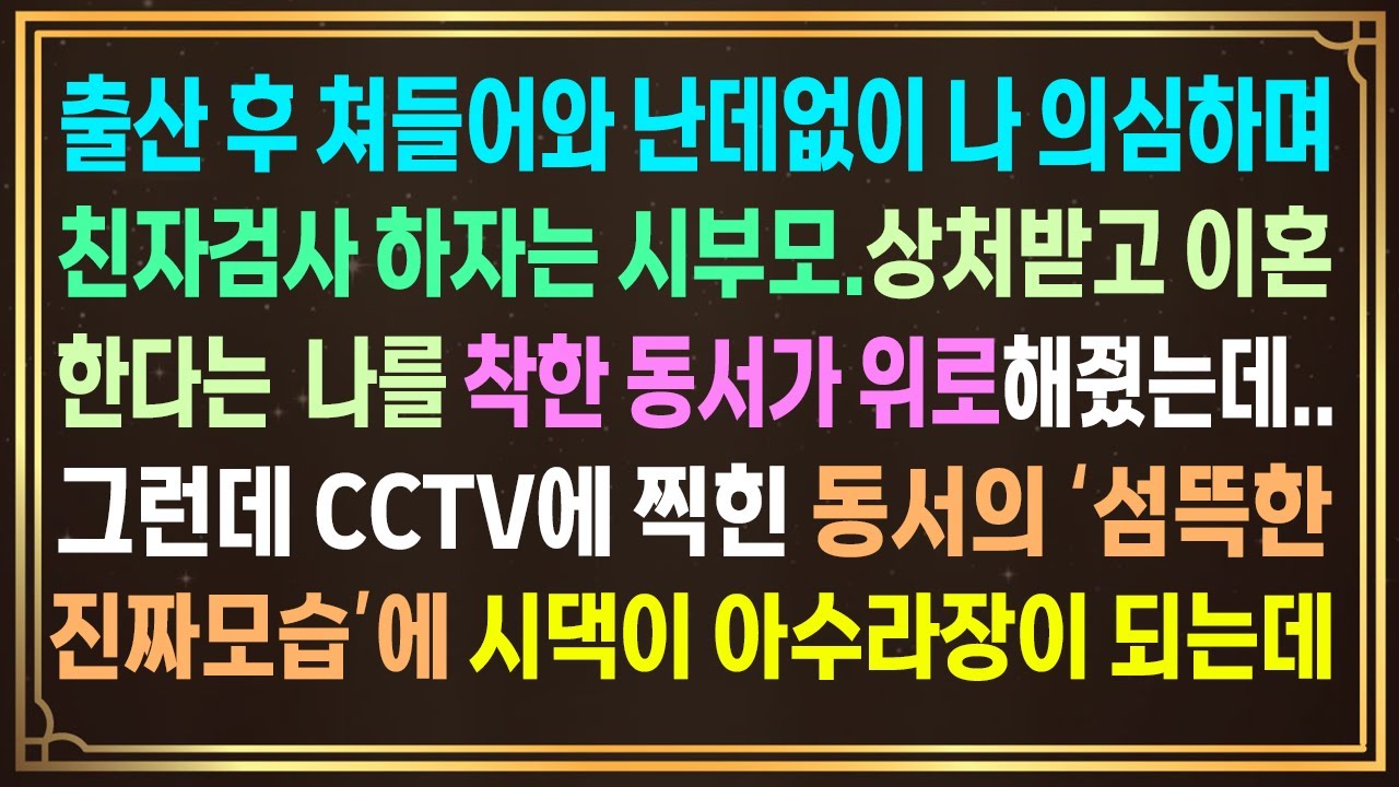 출산 후 쳐들어와 난데없이 친자검사 하자는 시부모. 상처받고 이혼한다는 나를 동서가 위로해주는데. 그런데 CCTV에 찍힌 동서의 '섬뜩한 모습'을 공개하자 시댁이 아수라장이 되는데