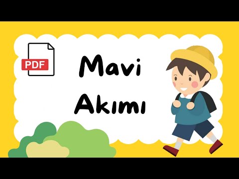 MAVİ AKIMI | AYT EDEBİYAT