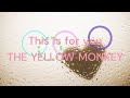 【THE YELLOW MONKEY】This is for youを下手なりに弾いてみました