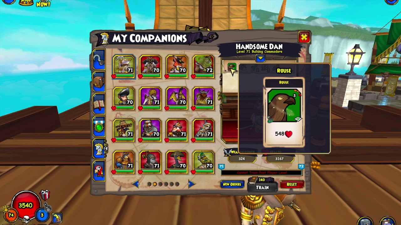 Pirate101 10 Useful companions you can buy. YouTube