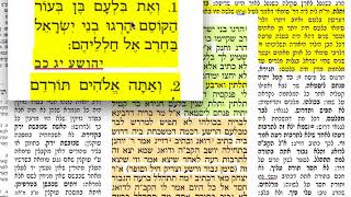 הדף היומי סנהדרין ק״ו 106שני י׳ חשון תשע״ח