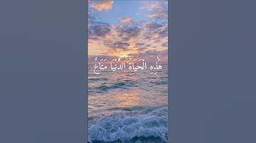 سوره غافر القارئ محمد ديبيروف