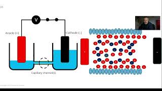 Electroosmotic Flow Explained: Electrical Double Layers & Microfluidic Pumping