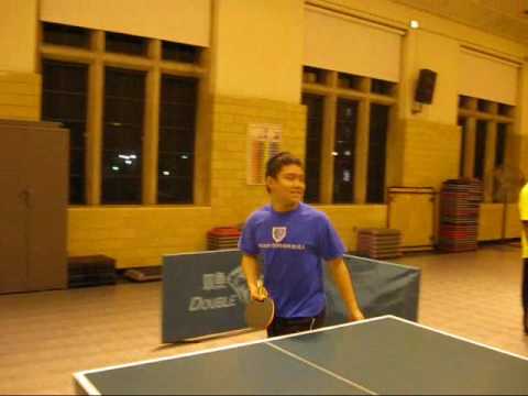 2008 Table Tennis World Championship Final