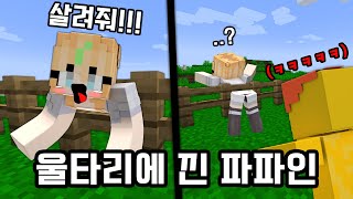 버그로 울타리에 낀 여자멤버 괴롭혀봤습니다 [몰래카메라] Minecraft error hidden camera