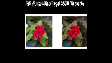 Moody Flower editing tutorial | Lightroom color grading | blur image background