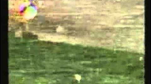 GestureXtreme Tornado, 1st created in the 1990s