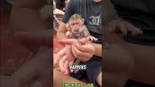 "Two Lonely Baby Monkeys Finally Found Someone Who Cared... 😢🐒❤️" 🔥