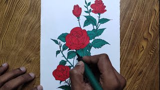 How To Draw Rose Flowersrose Flowers Drawing