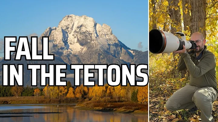 Photographing Fall Wildlife in Grand Teton National Park