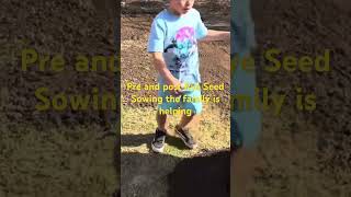 viral shorts shortvideo lawn grass lawncare mowing bermuda home sod tahoma