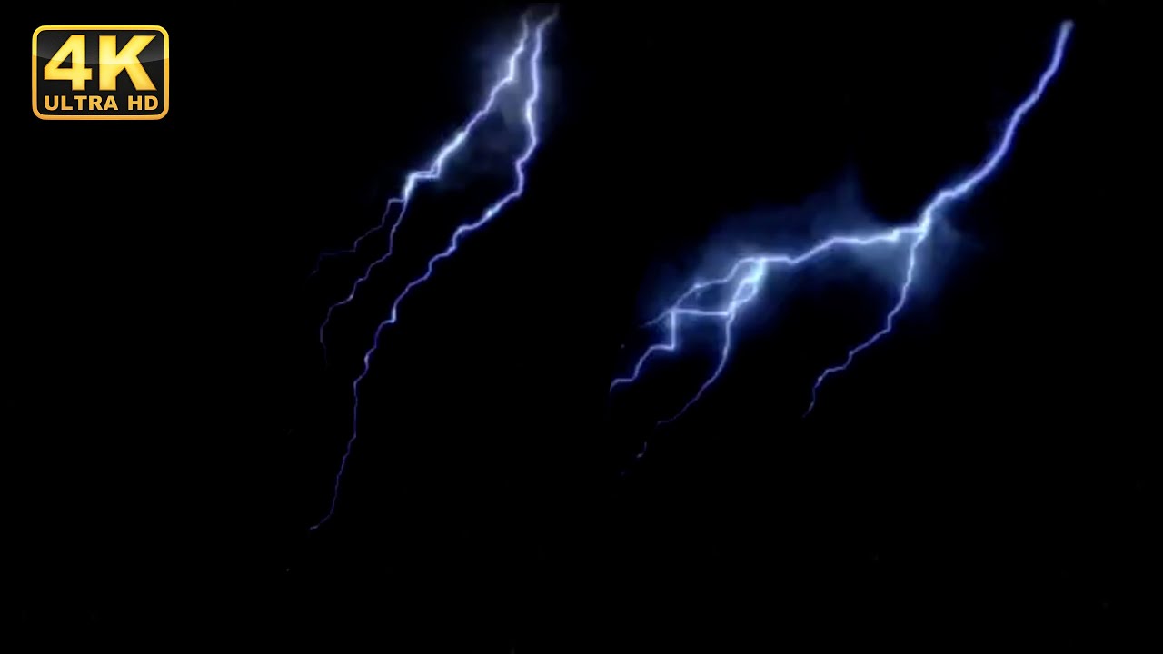 46 Tampa Bay Lightning Stock Video Footage - 4K and HD Video Clips