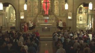 Passion of the Lord - Palm Sunday