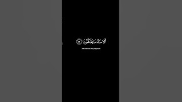 تلاوة الشيخ عبدالرحمن مسعد من سورة النحل، الآيات 58-59 #الله #القرآن #لا_اله_الا_الله #تلاوة