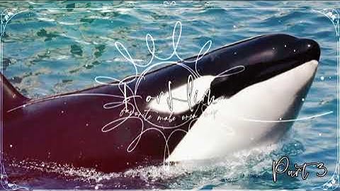 𝐅𝐨𝐫 𝐇𝐢𝐦 :: ғᴀᴠᴏʀɪᴛᴇ ᴍᴀʟᴇ ᴏʀᴄᴀ ᴍᴇᴘ [CLOSED]