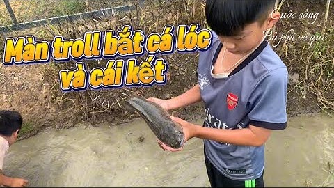 Màn troll bắt cá lóc và cái kết bất ngờ |Cuộc Sống Bỏ Phố Về Quê