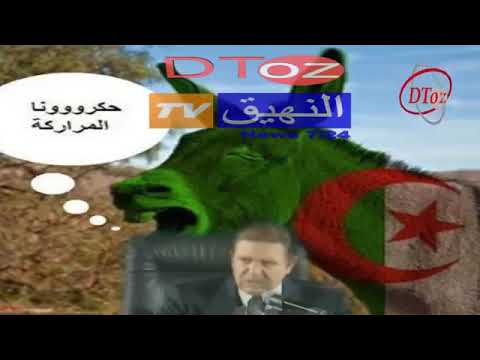 بوتفليقة و الجملة شهيرة حكرونا المراركة 