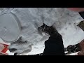 Perimeter Bait Station Rebait – Exterior Rat Service (Toronto Junction)