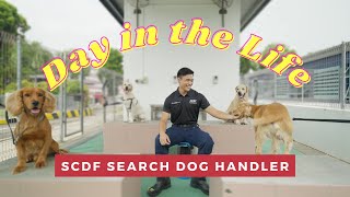 SCDF Search Dog Handler