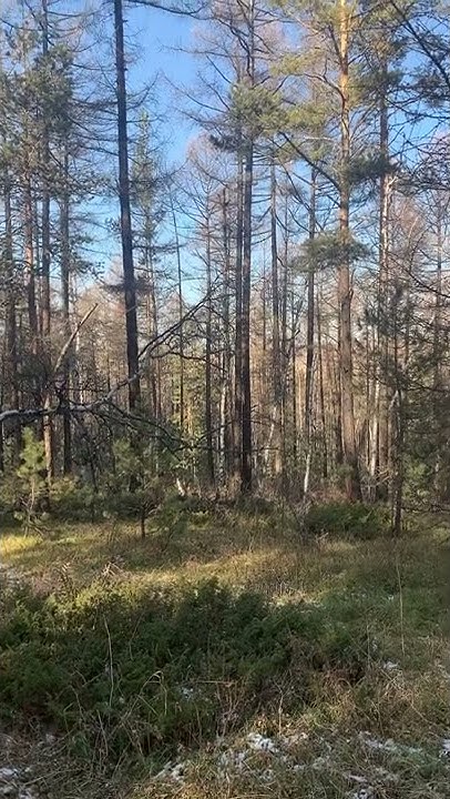 Ой мод - YouTube